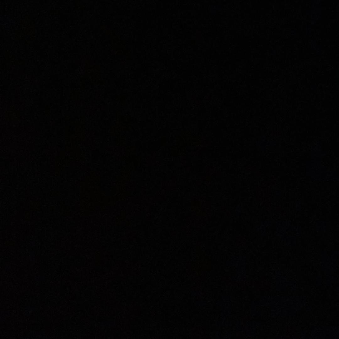 痞猫。
