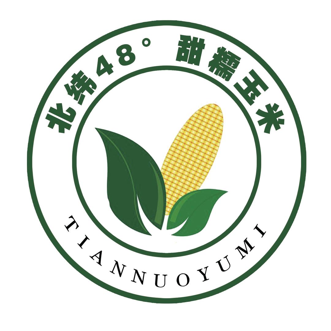 北纬48度董老哈甜糯玉米