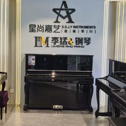 李猛与钢琴