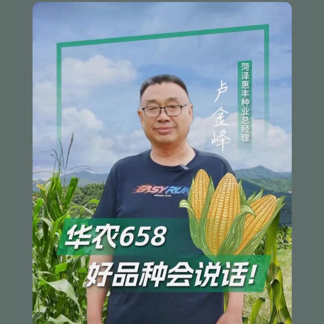 菏泽惠丰种业