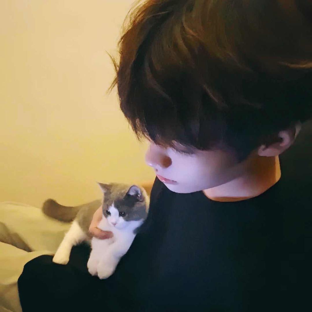 A.银川迈阿密小O.