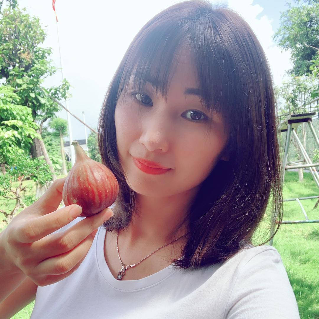 春银家的无花果