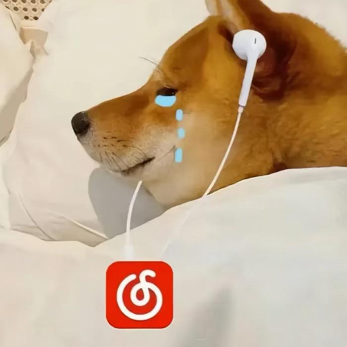 ￴￴￴￴￴￴￴