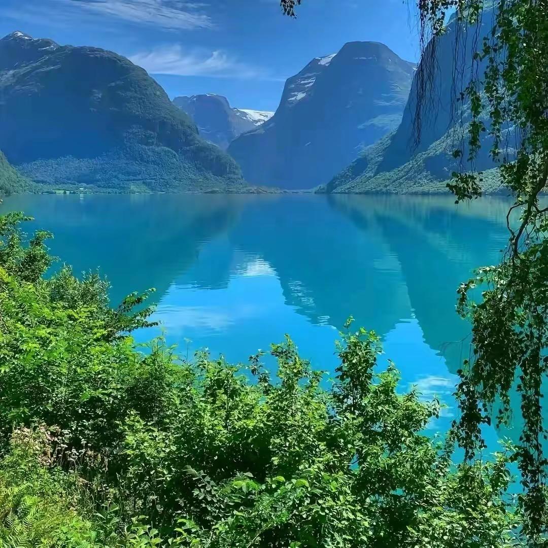 鼎盛二手车(林哥)