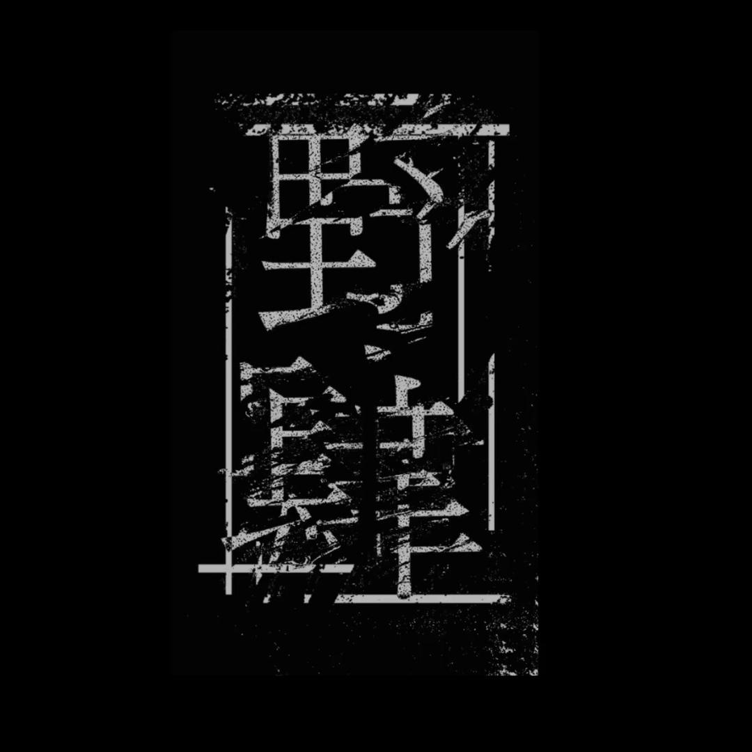 野肆乐队Reckless Abandon