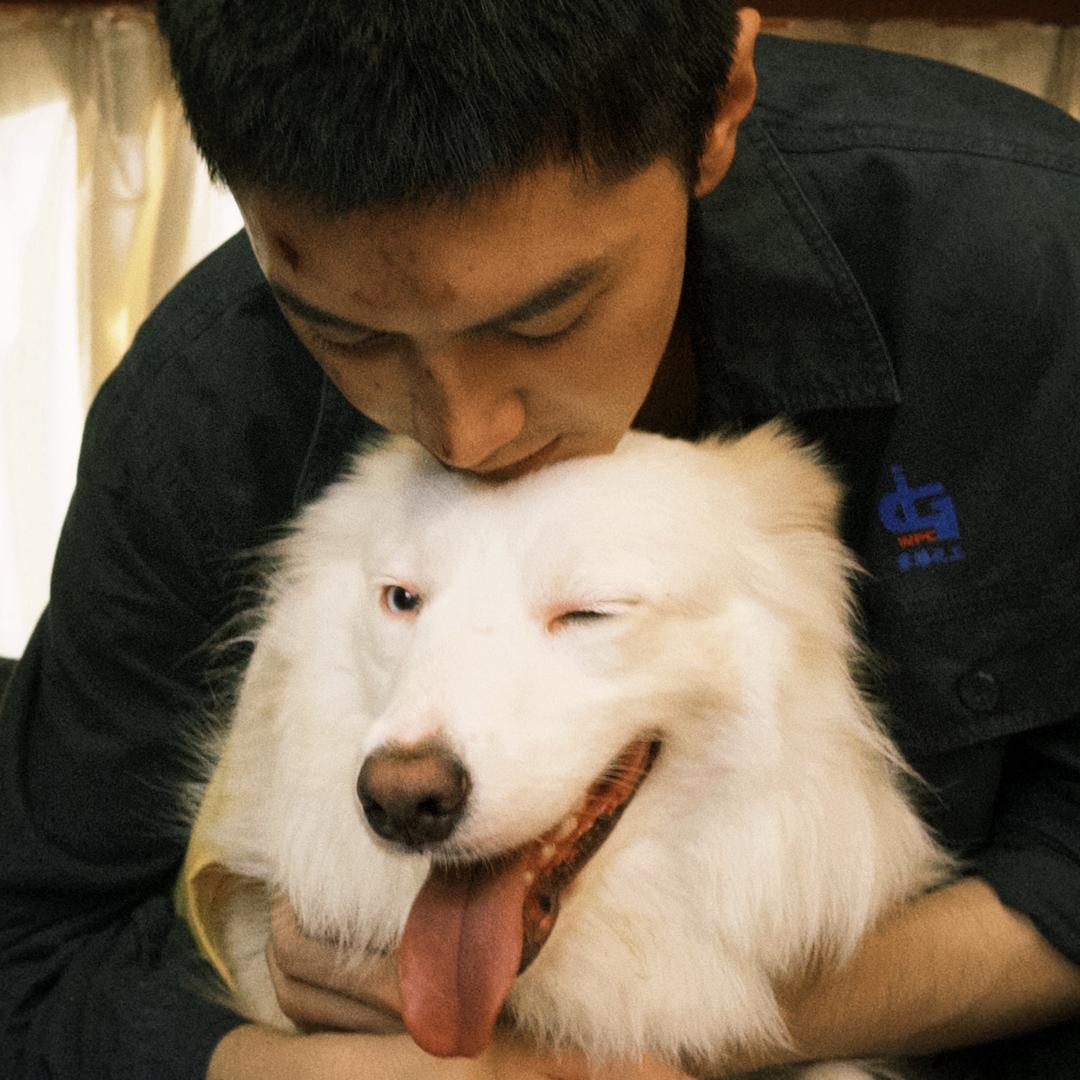 你觉得是什么就是什么