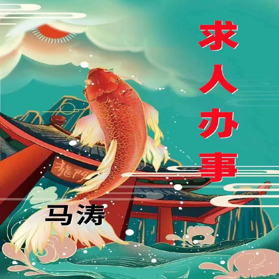马涛聊职场