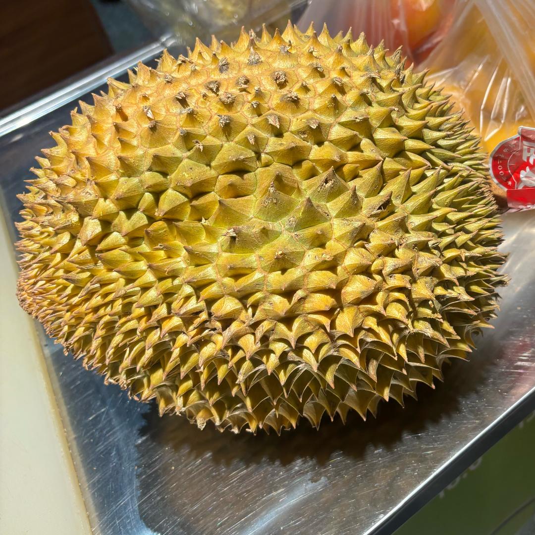 佳佳和吴总