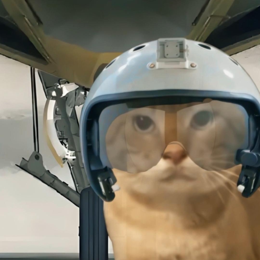 栗子(三角洲行动）