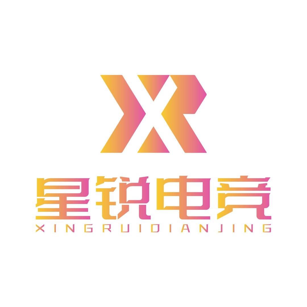 星锐电竞（三角洲行动）