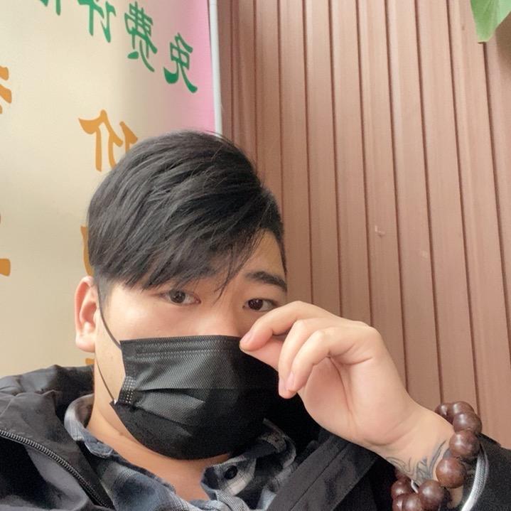 一只小肥肥今天只吃青菜不吃饭、