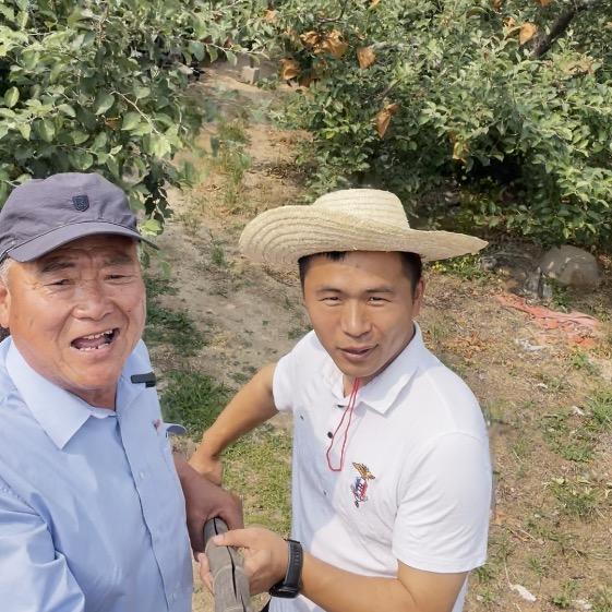 李子甜不甜（活着）