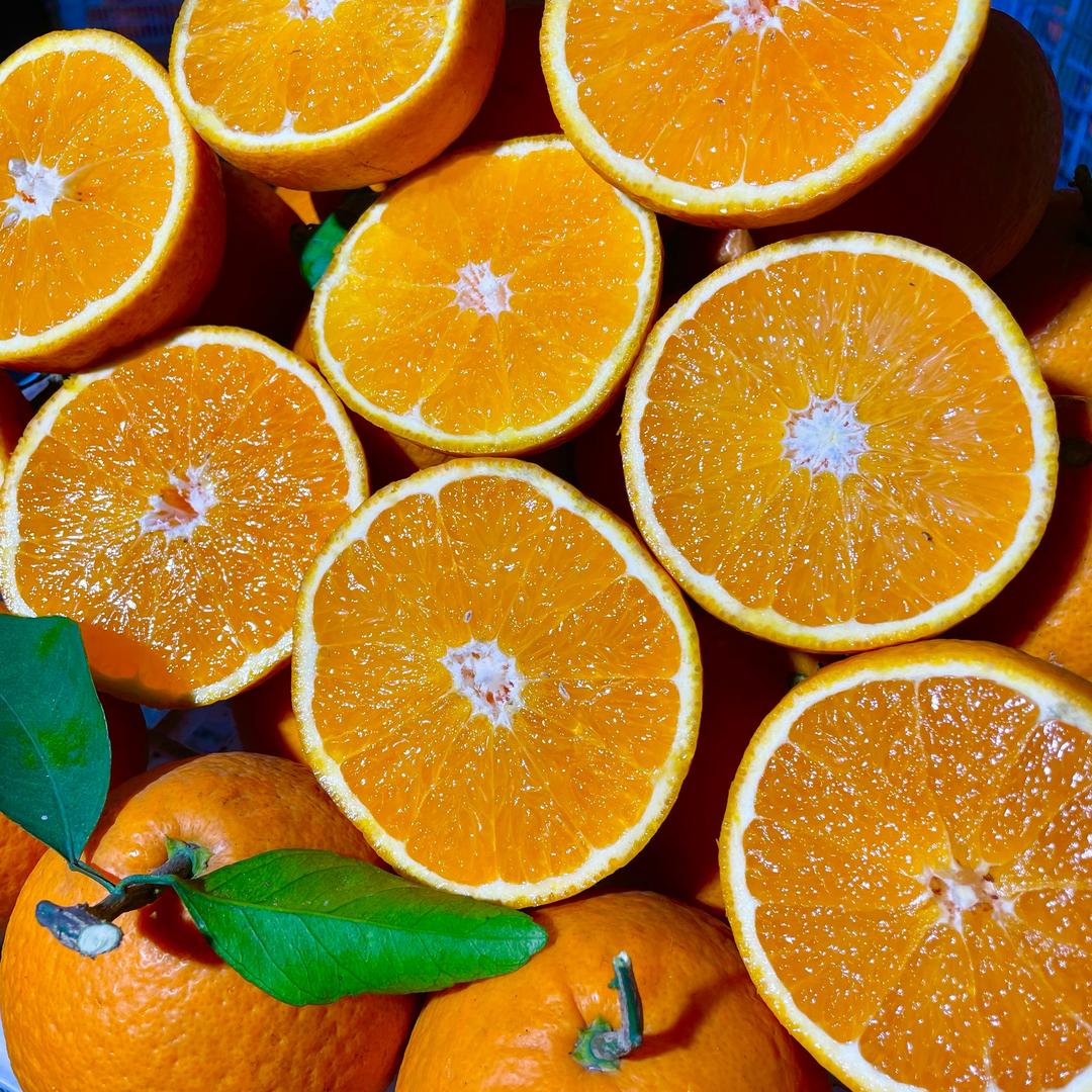 青见果冻橙（产地直发）