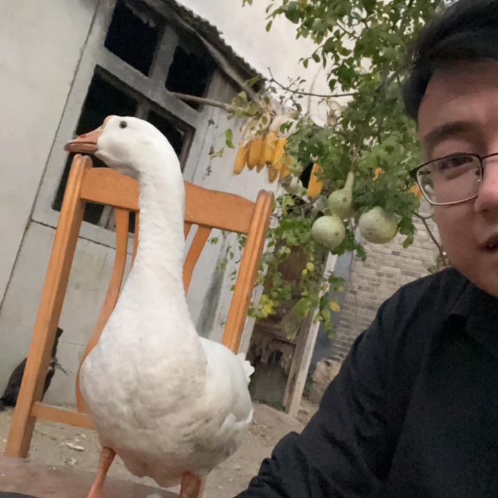 老杨的记事本