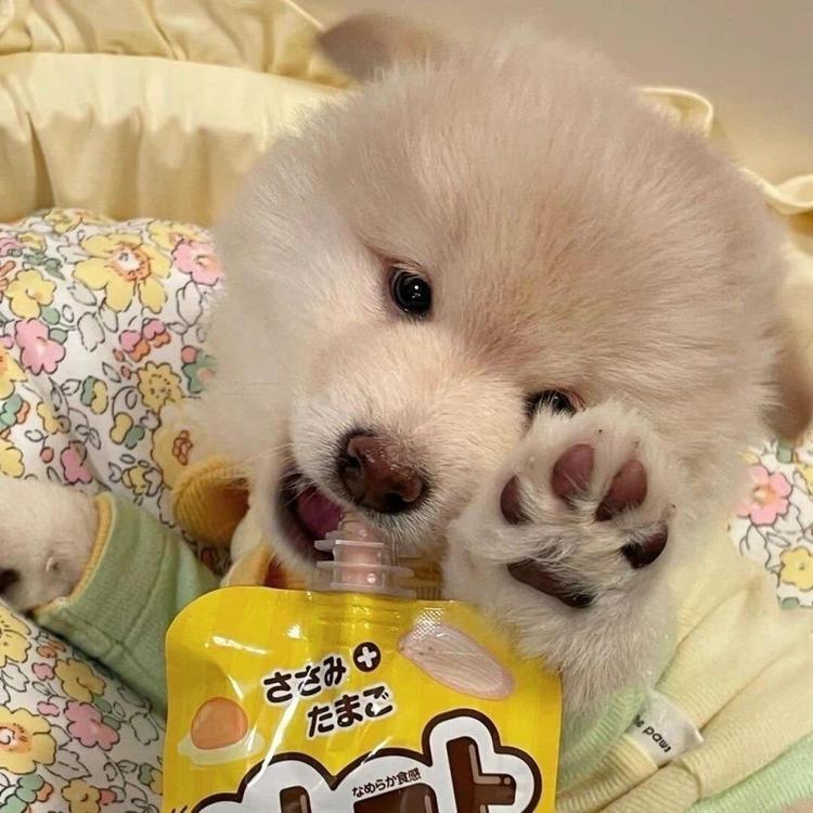 小沫沫饰品