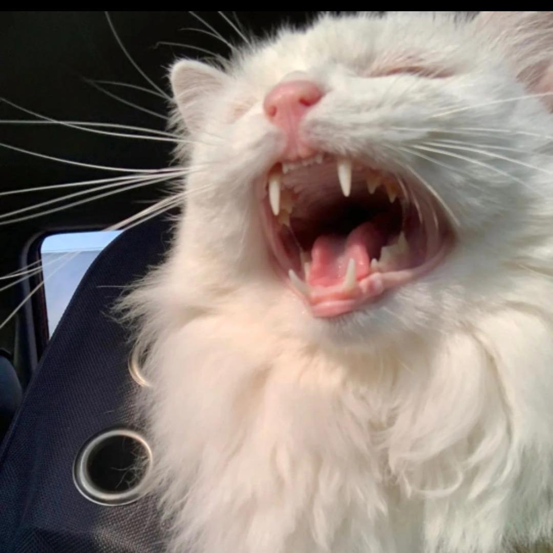 쓰레기