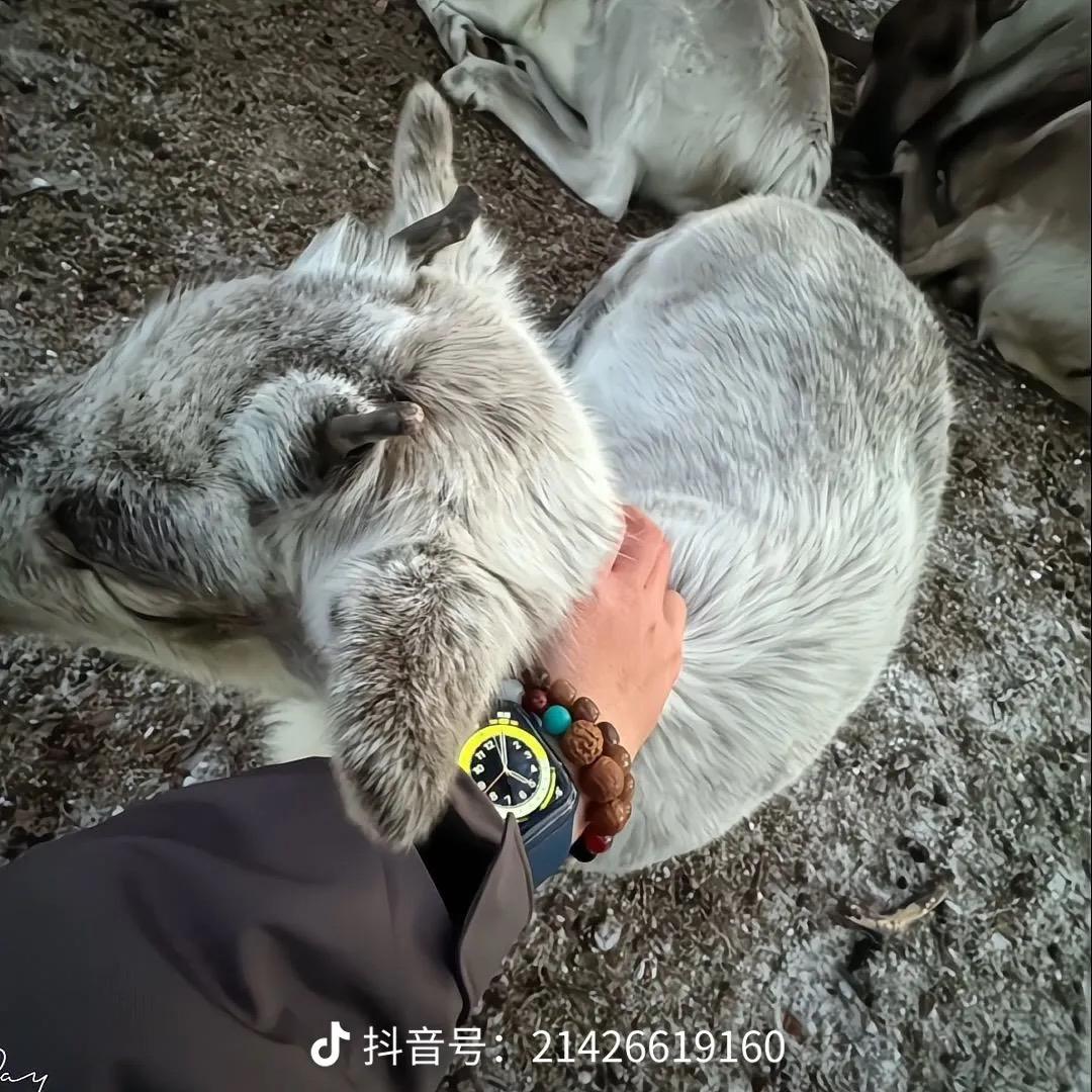 遇见了你