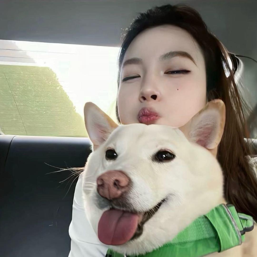 莫莫。