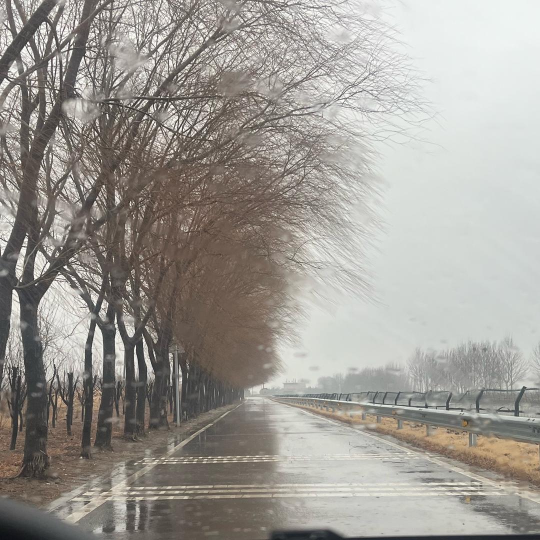花开富贵.