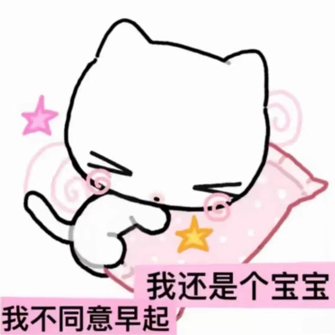 卷卷熊绷带