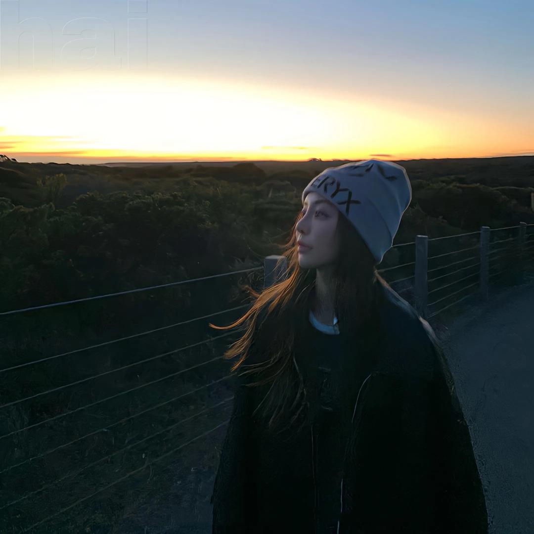 懒猫与向日葵🐈