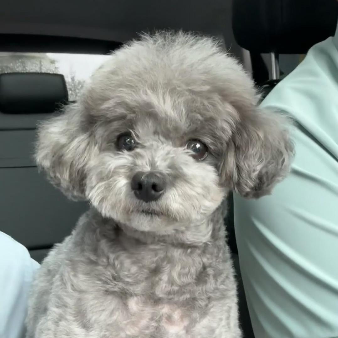 恰辰鞋业宠粉号