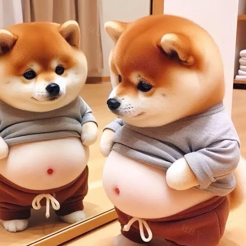 好酒不溅