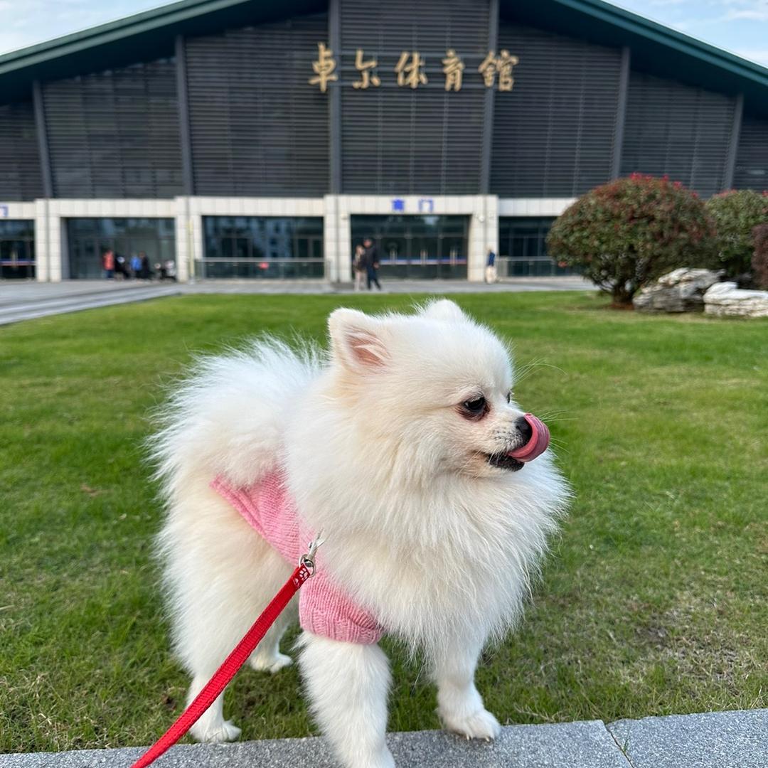慧