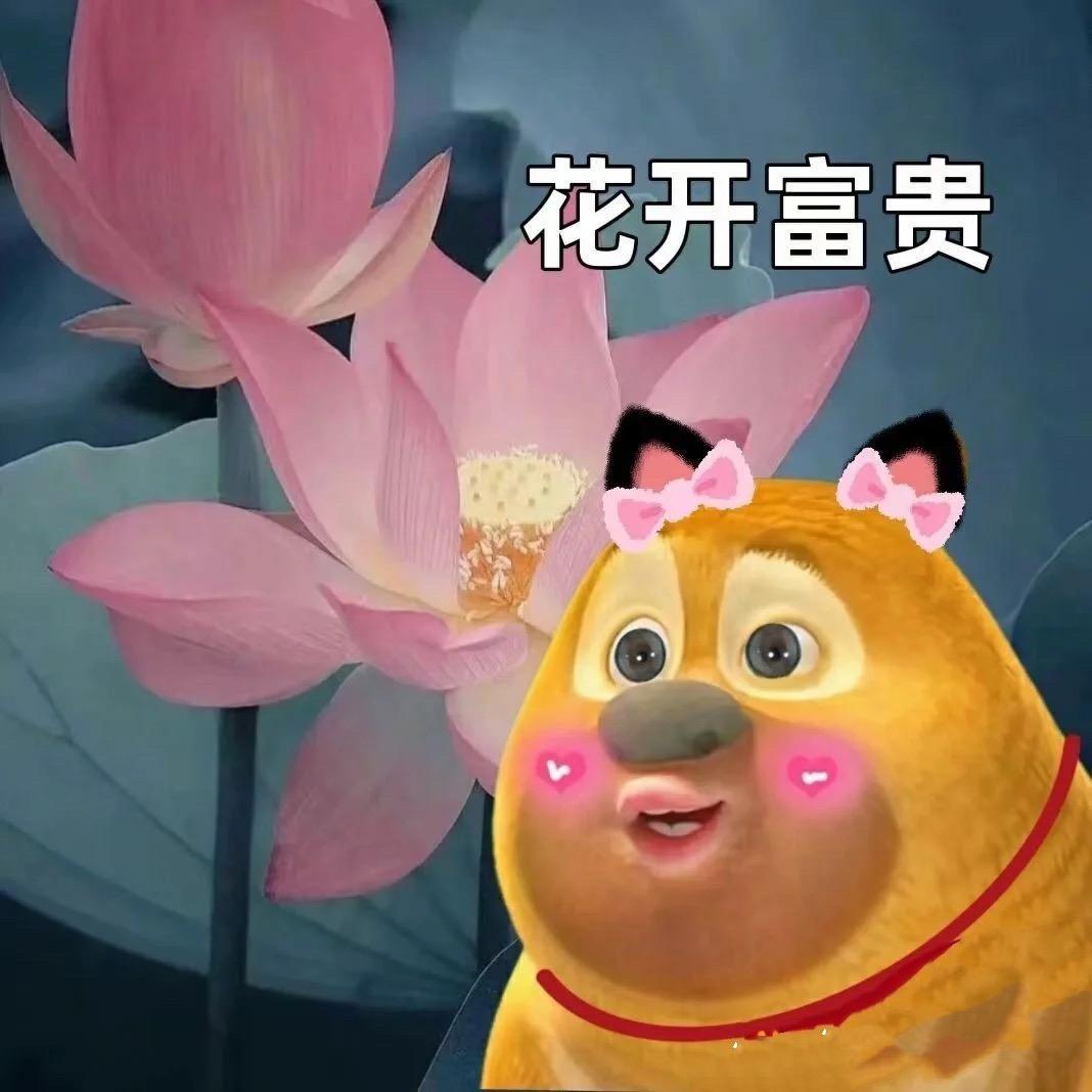 来个高配版大富大贵