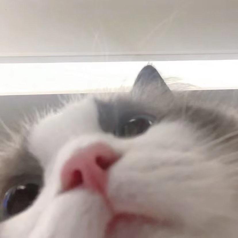 菡