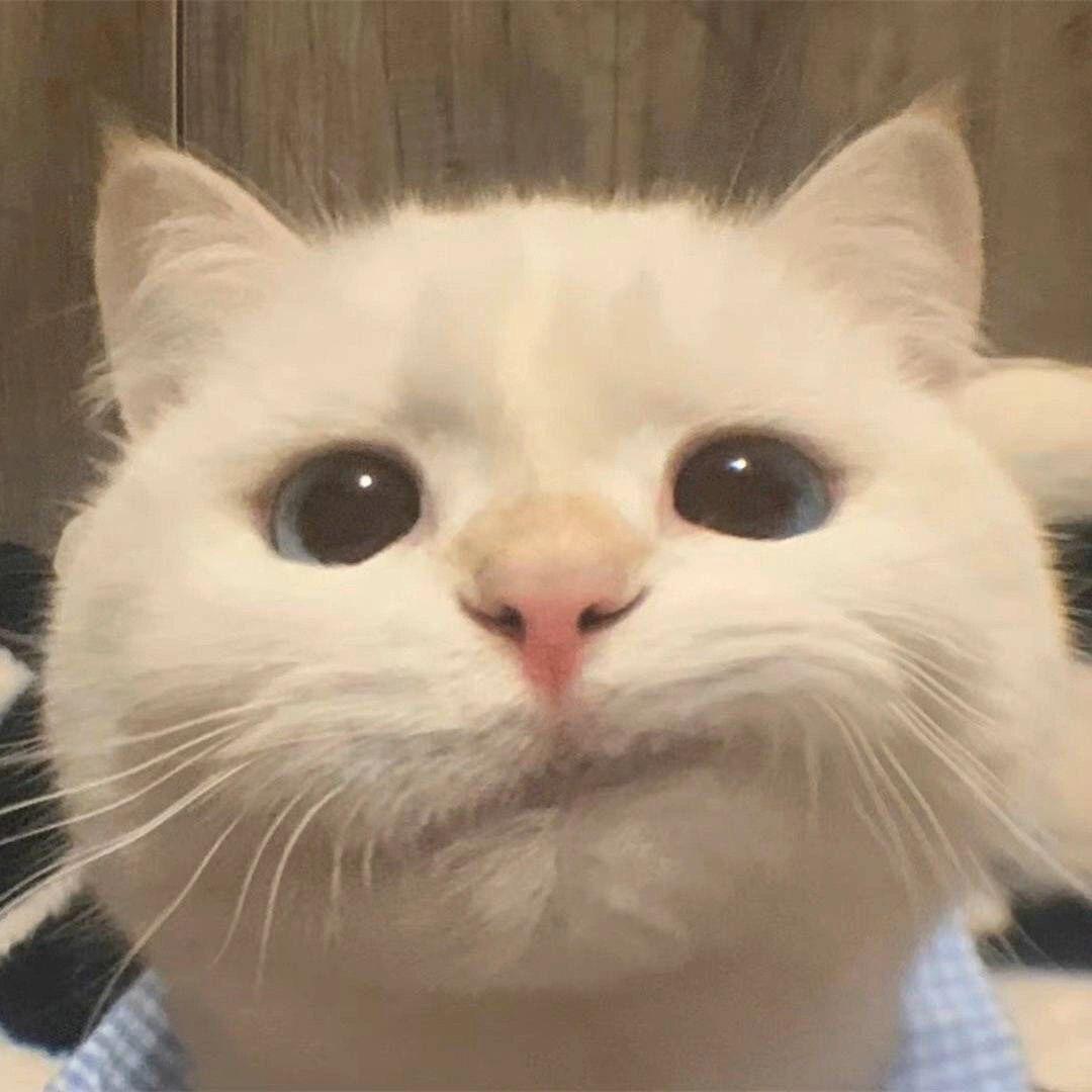 111