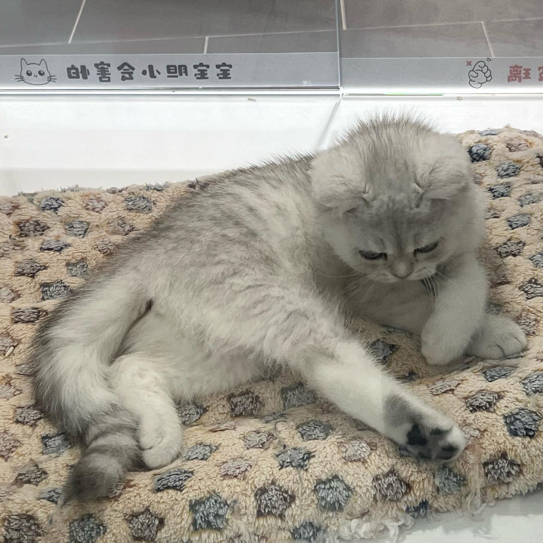 @是我是我