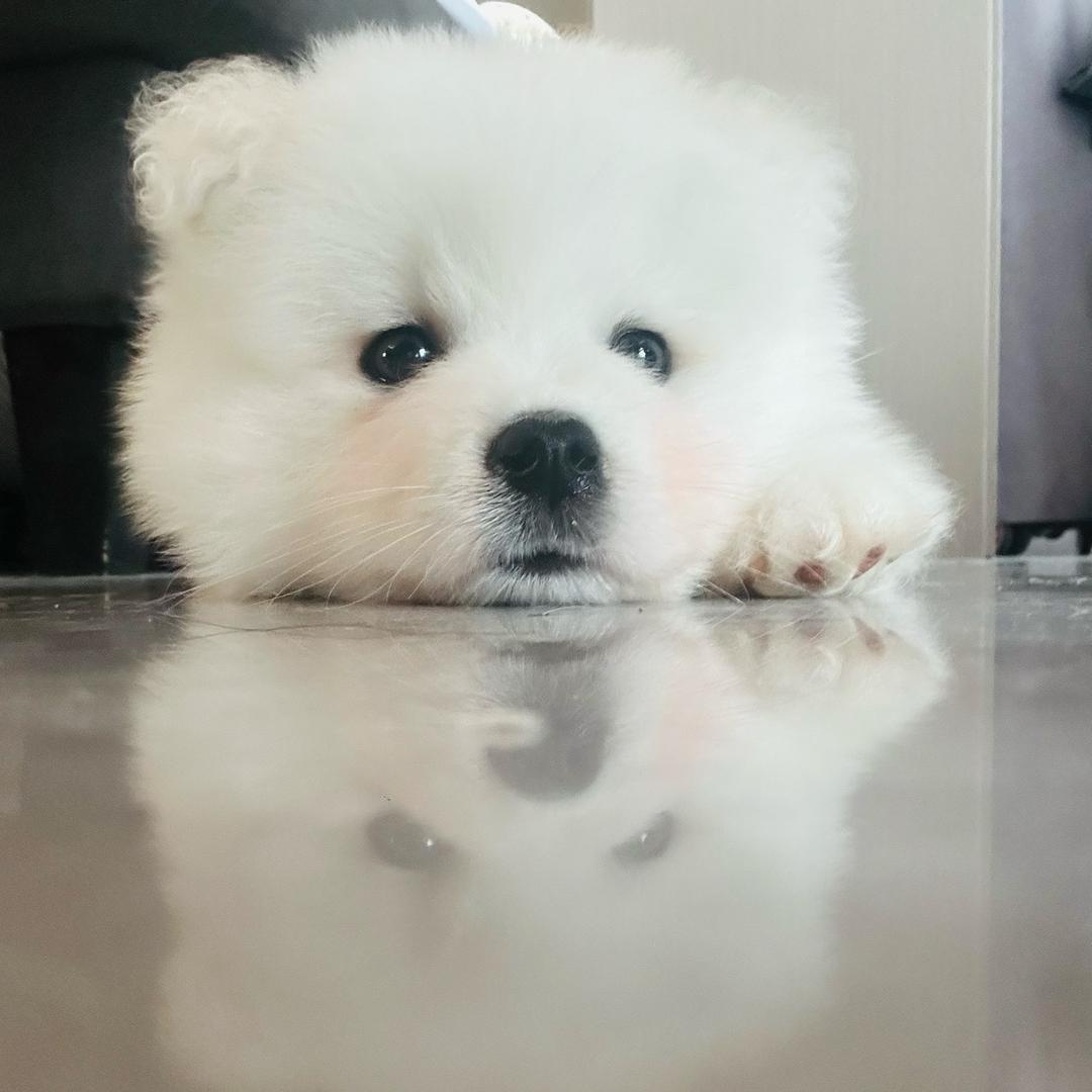 说好不哭.