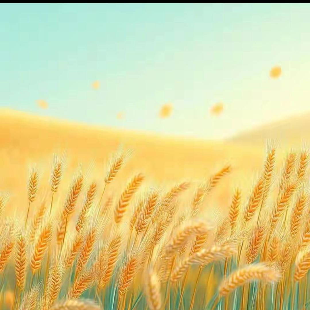 大家都爱吃老面包子，营养又健康