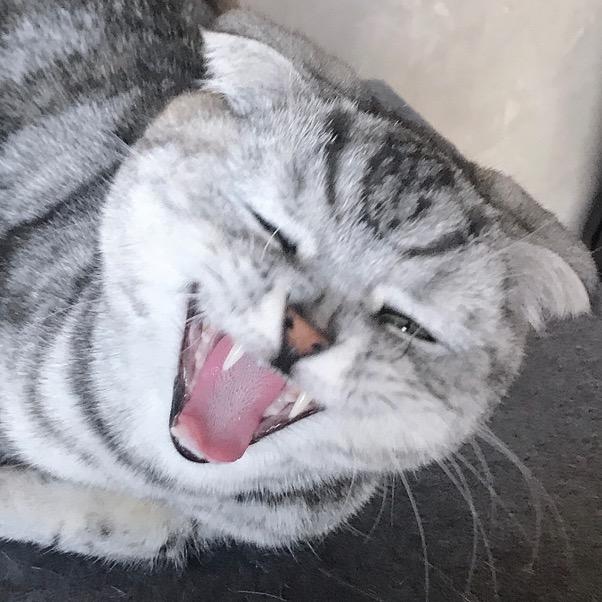 Xxx