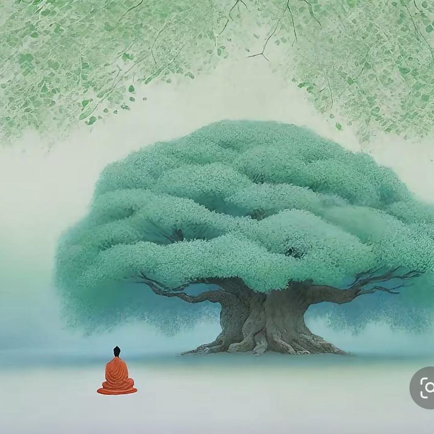九叶菩提