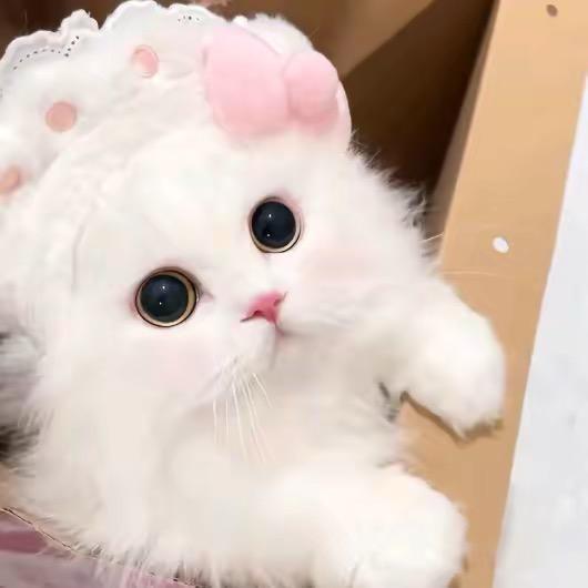 我为什么不爱睡觉