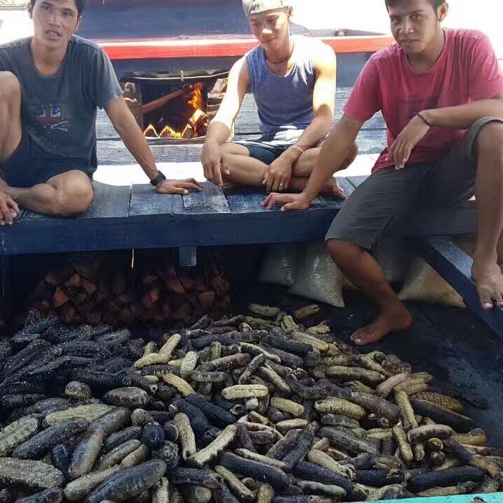 华仔在印尼（海参加工厂）