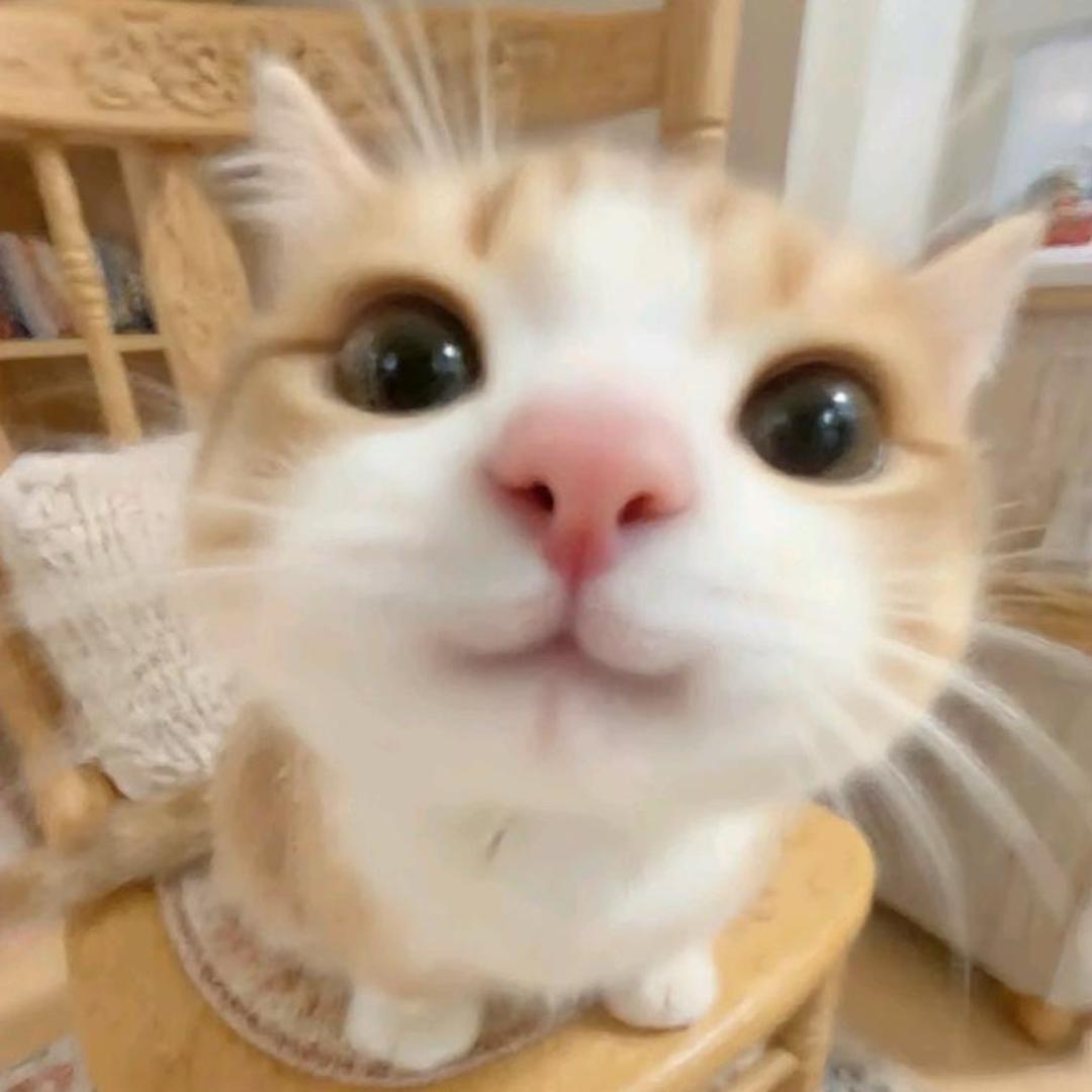 哈哈哈蜜瓜