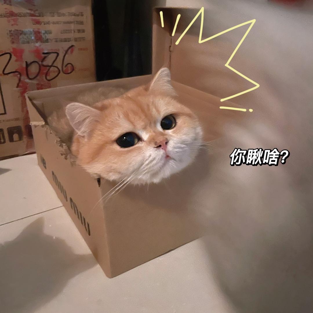 阿卡