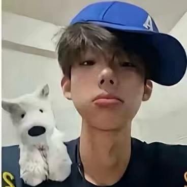 去买狗碰见狗店老板一见钟情