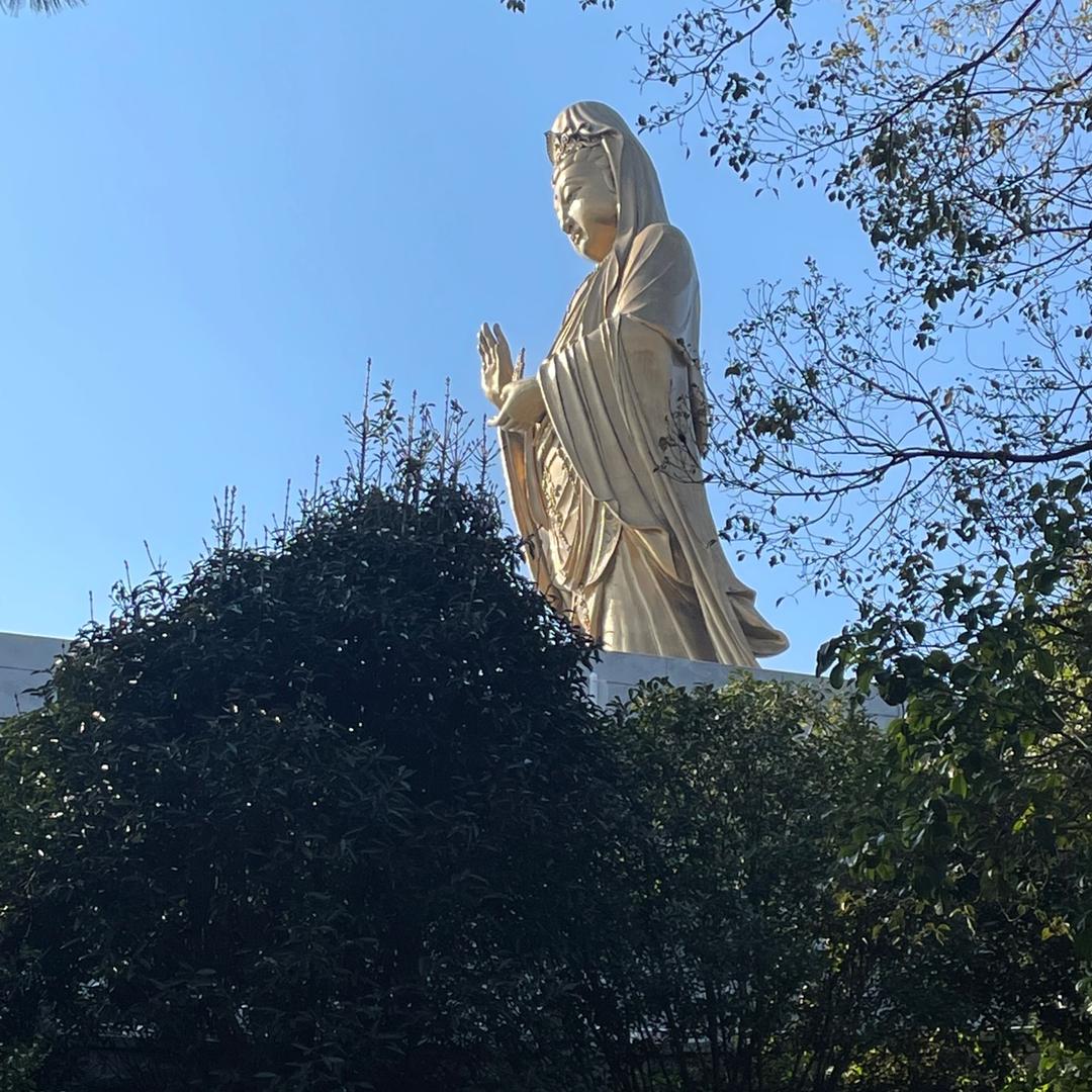 乐乐