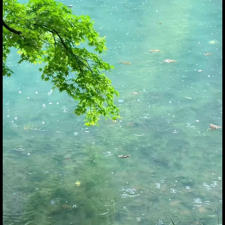 我是谁