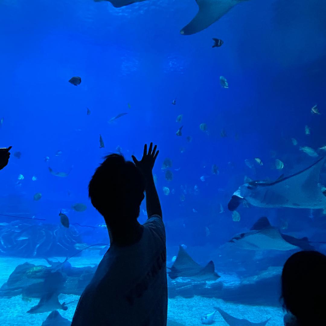 翻斗大花园胡图图