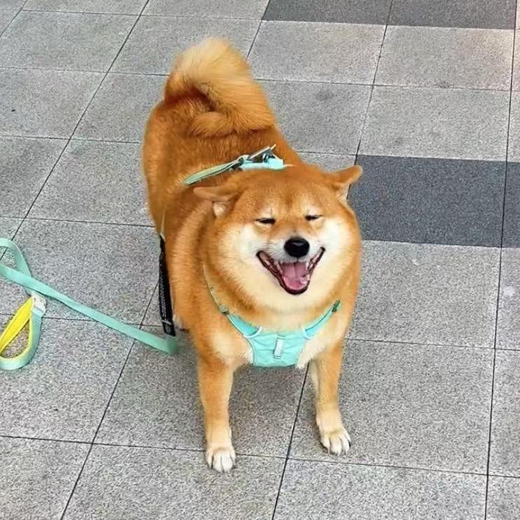 杰叔