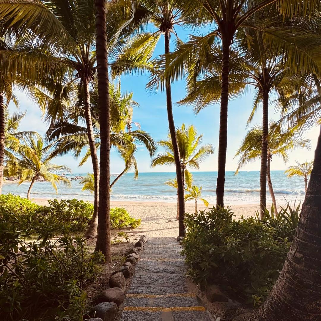 小羊不吃草🚘旅行✈️