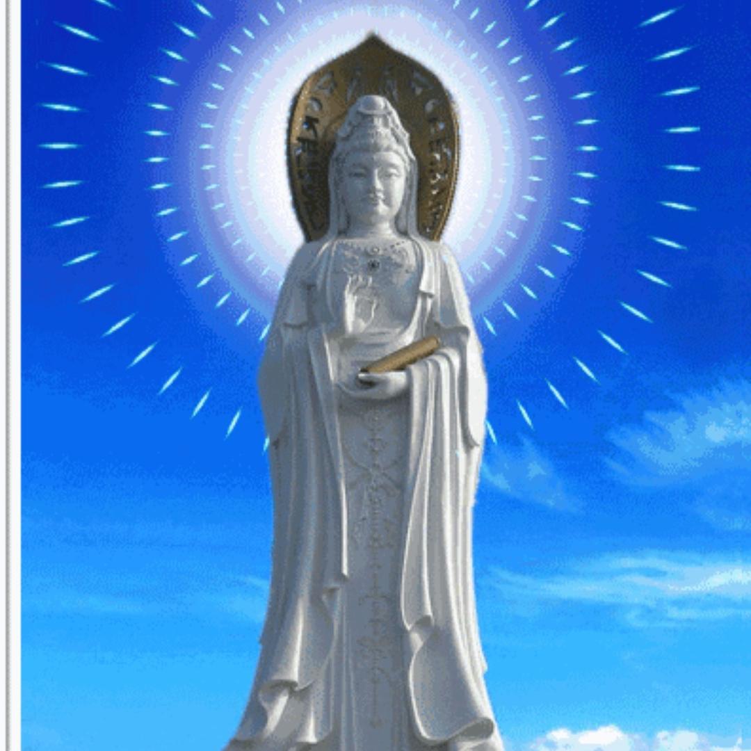 2024·阿震