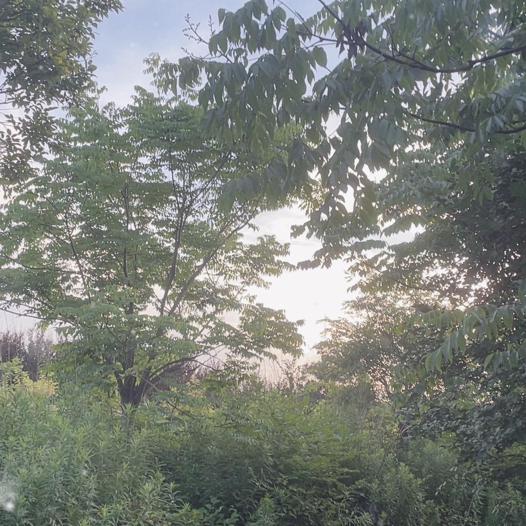 鸗篳釁（传媒）😃😀