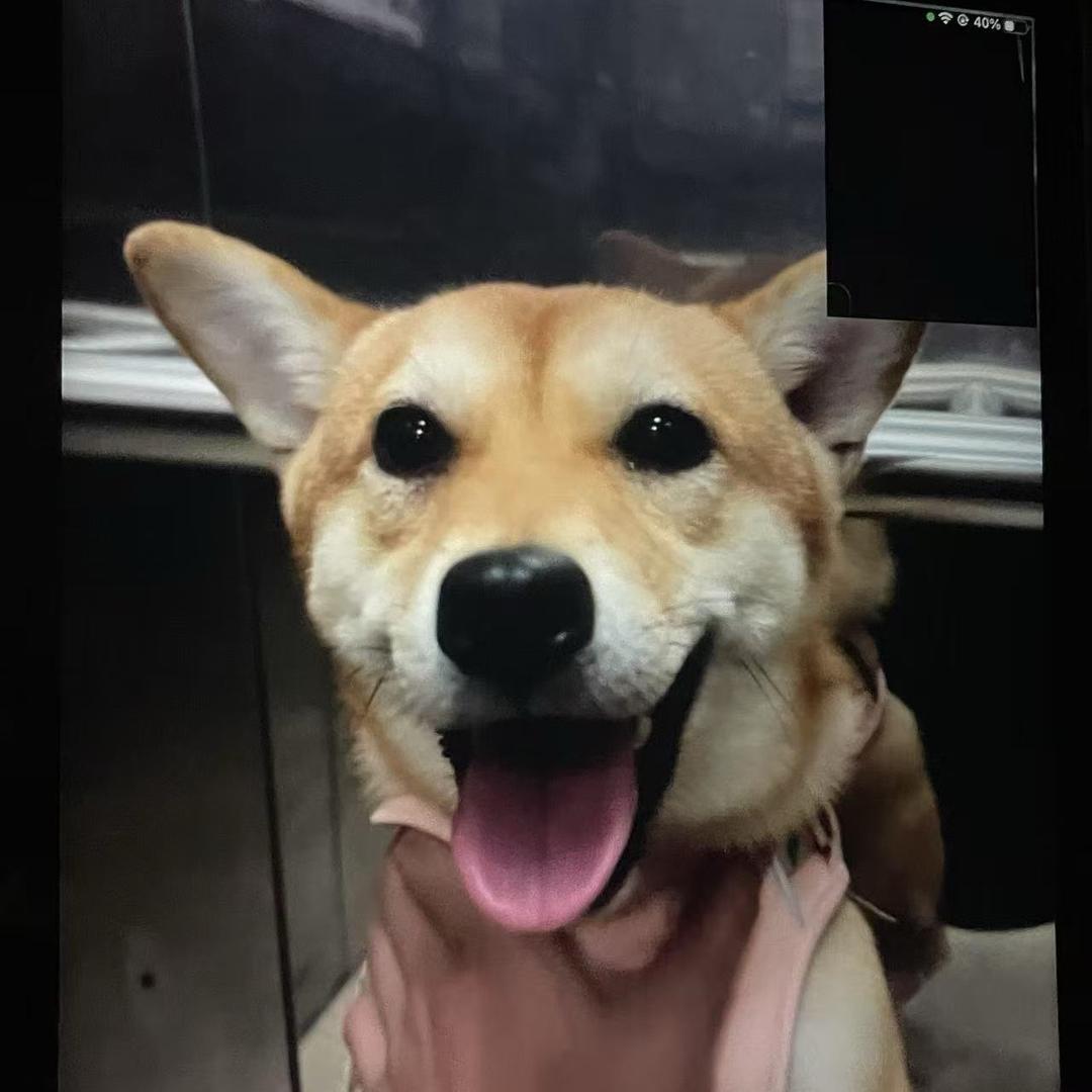 崽崽和远远