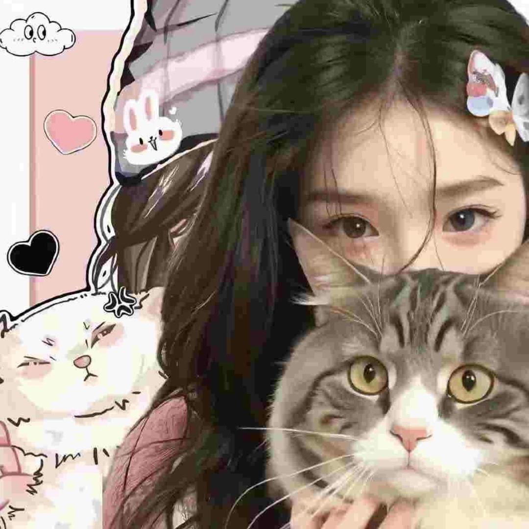 小仓鼠好物推荐